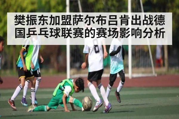 樊振东加盟萨尔布吕肯出战德国乒乓球联赛的赛场影响分析